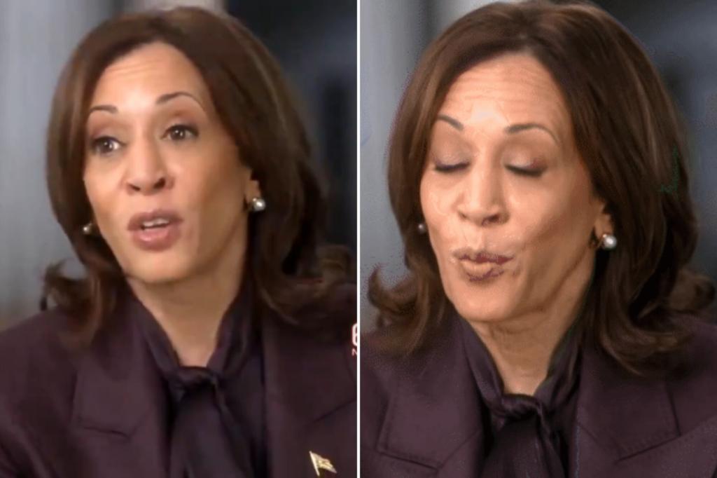 Kamala Harris digs into economic policy answer, dodges questions about 'historic flood' of immigrants crossing border in '60 Minutes' interview